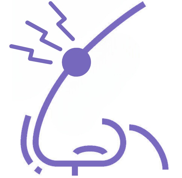Nasal Fracture Icon