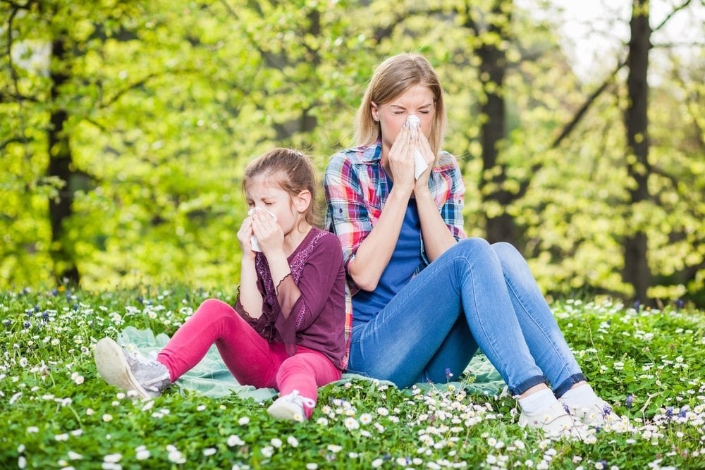 houston allergy symptoms and signs 
