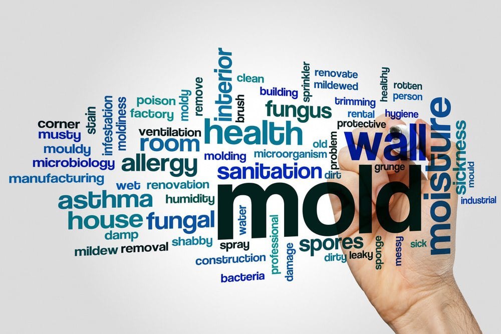 Mold Allergy Symptoms And Signs